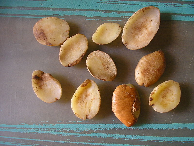 Naturalny spalacz tłuszczu - African Mango